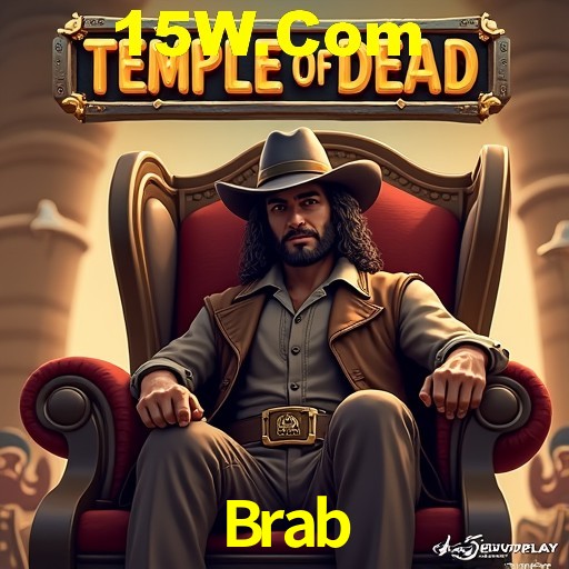 Security Systems Brab